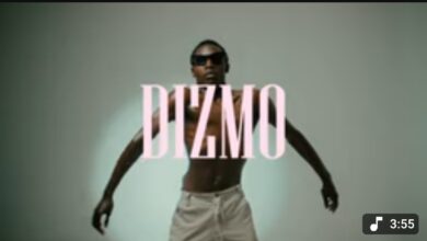 Dreams - Dizmo