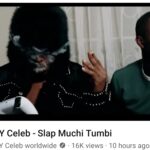 Y Celeb - Slap Muchi Tumbi