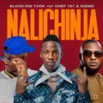 Bloodkid YVOK Ft Chef 187 and Dizmo - Nalichinja