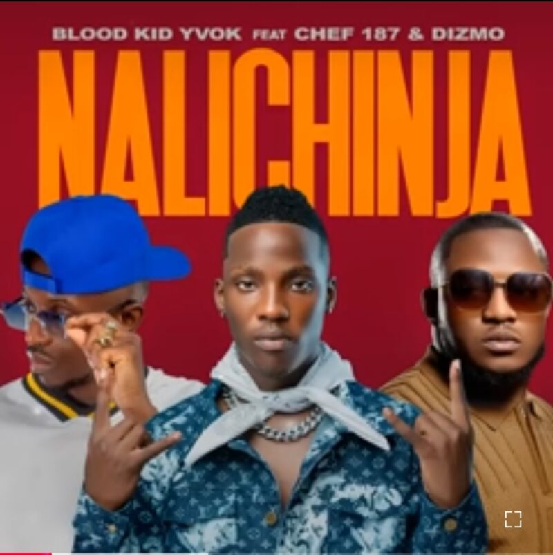Bloodkid YVOK Ft Chef 187 and Dizmo - Nalichinja