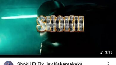Shokii Ft Fly Jay - Kakamakaka (Music Video)