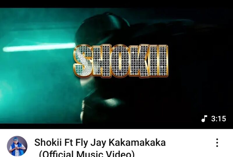 Shokii Ft Fly Jay - Kakamakaka (Music Video)
